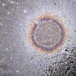Asking-scientific-questions