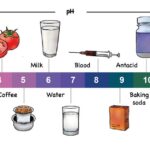 Exploring natural indicators