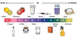 Exploring uses of natural indicators (Teacher’s Guide IV)