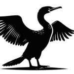 Observe Fishing Birds