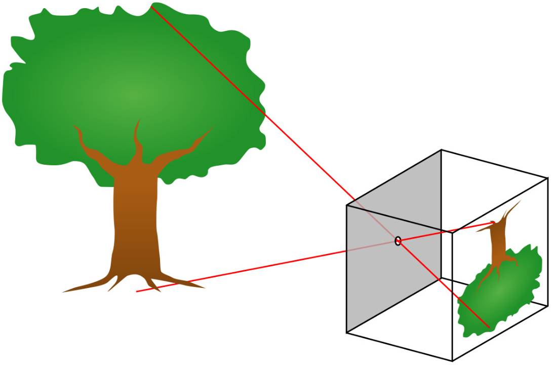 The Pedagogy fig-1