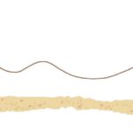 Visualising sound and light