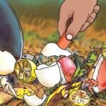 What do we do with egg shells