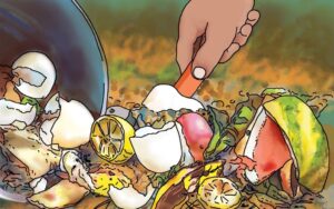 What do we do with egg shells? (Teacher’s Guide I)