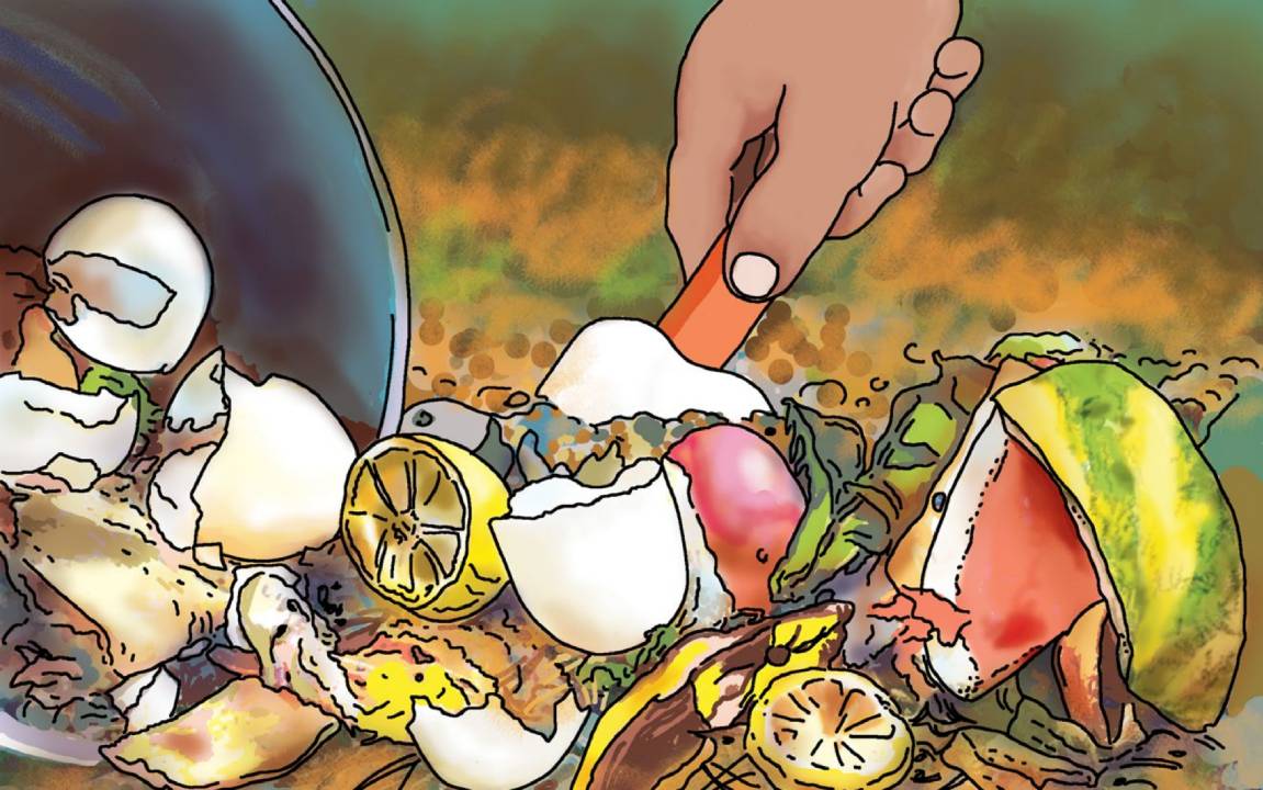What do we do with egg shells? (Teacher’s Guide I)