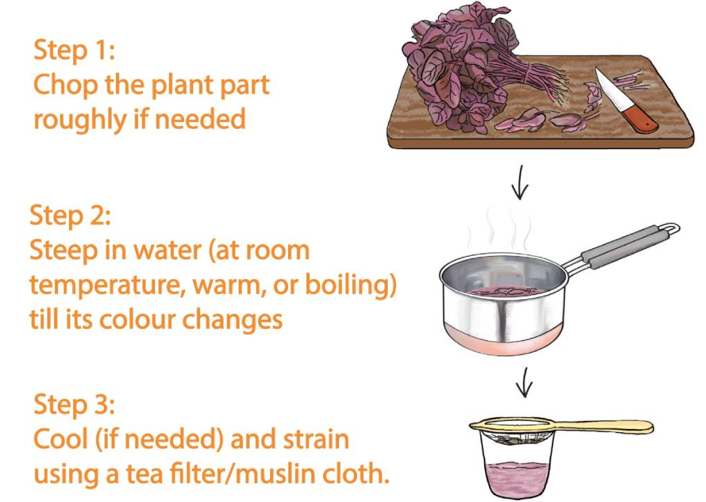 explore-acids-fig-1