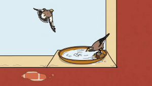 Invite birds to a bird bath (Activity Sheet III)