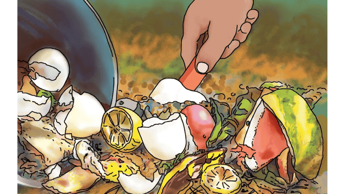 What do we do with egg shells? (Teacher’s Guide I)