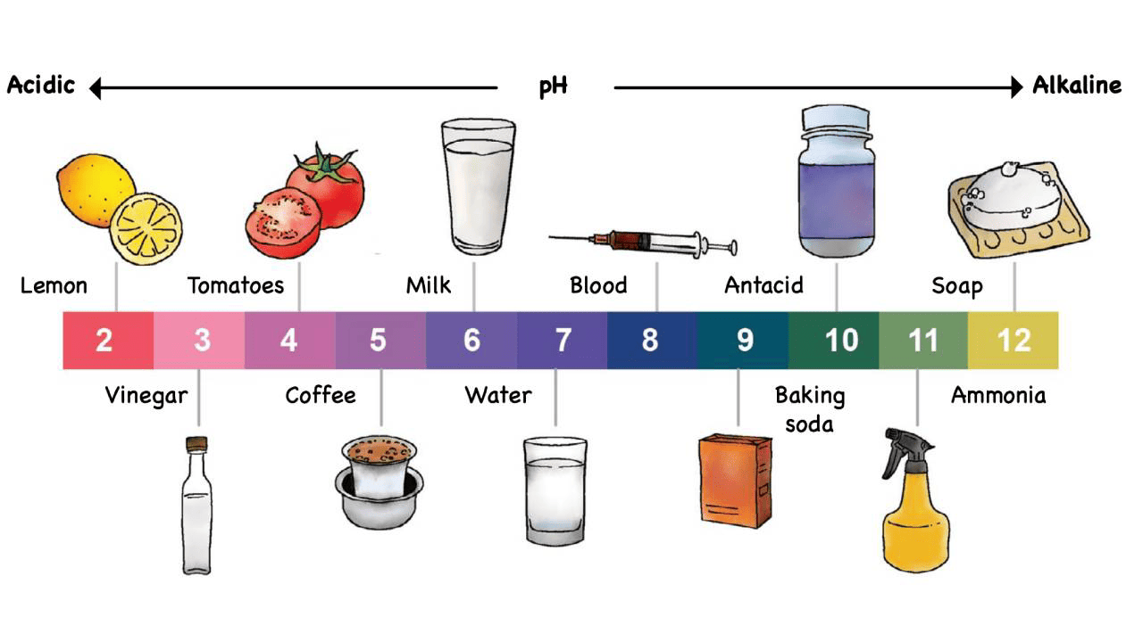 Exploring uses of natural indicators (Teacher’s Guide IV)