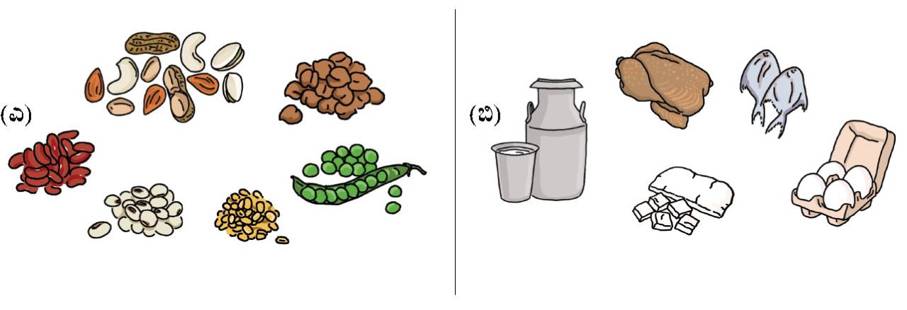 Why add eggs to midday meals fig 1