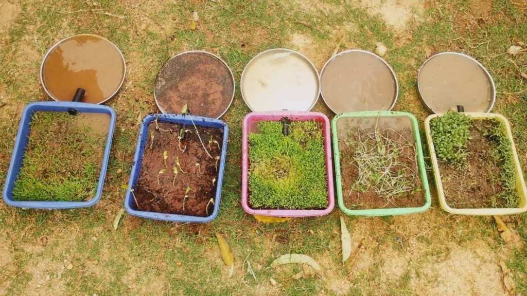 Examining-soil-fig-4