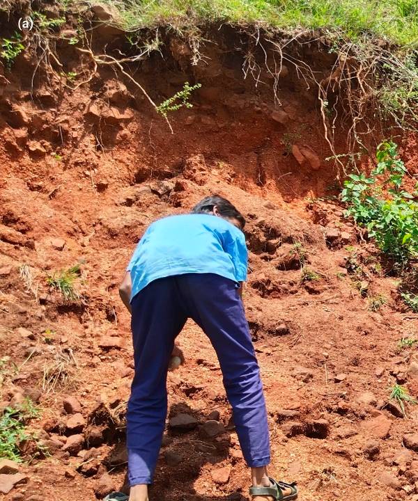 Examining soil fig1a