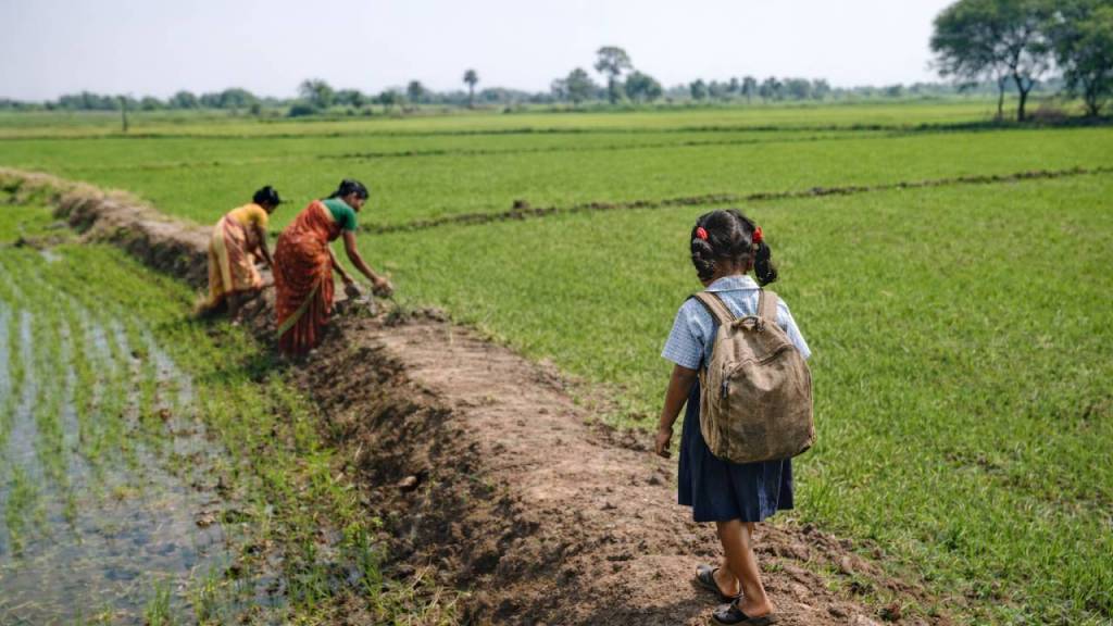 Exploring soil: The foundation of life