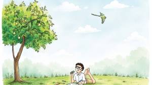 अपने आस-पड़ोस के किसी पक्षी का अवलोकन करना (गतिविधि शीट)