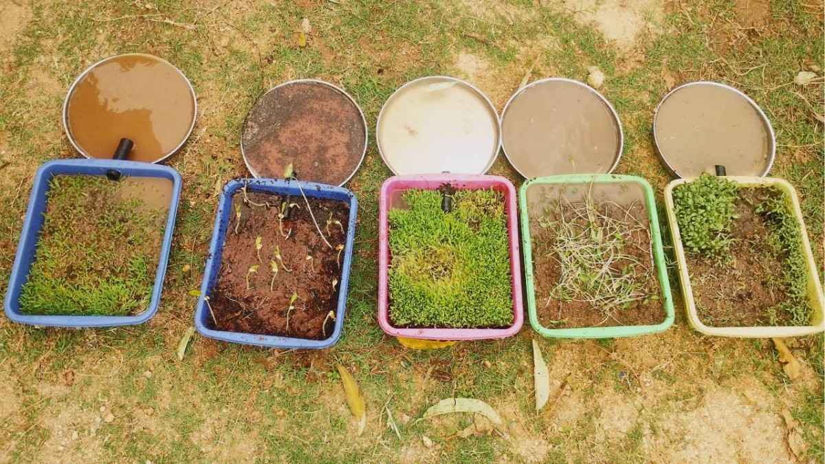 क्या पौधे मृदा को बह जाने से रोकने में मददगार होते हैं? (गतिविधि शीट-2)
